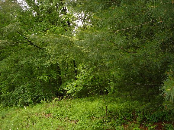 4th image of Coosa Way #Lt 23