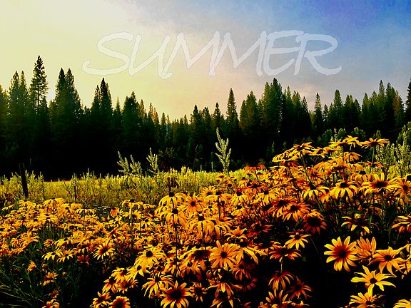 Summer Bliss