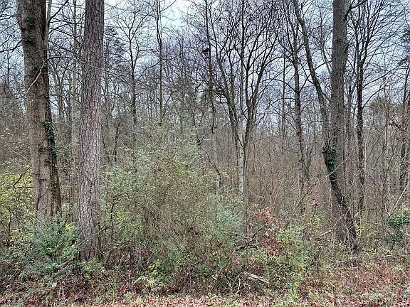 4th image of 310 Brumlow Hollow Rd