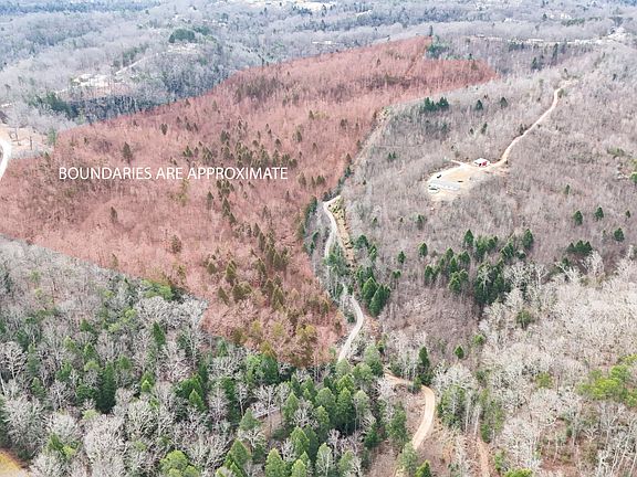 2nd image of 999 Jervis Rd