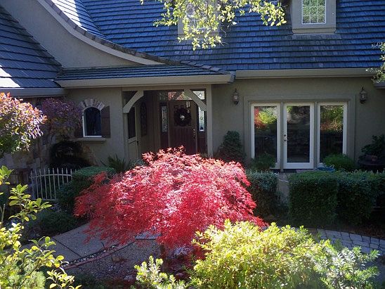 3rd image of 1420 Shadow Rock Dr.