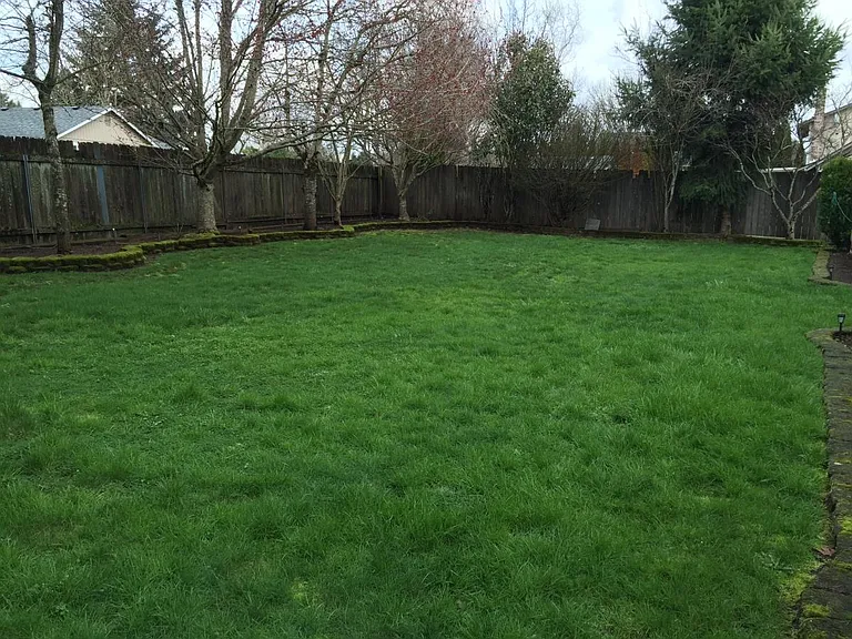 Old photo - Huge backyard