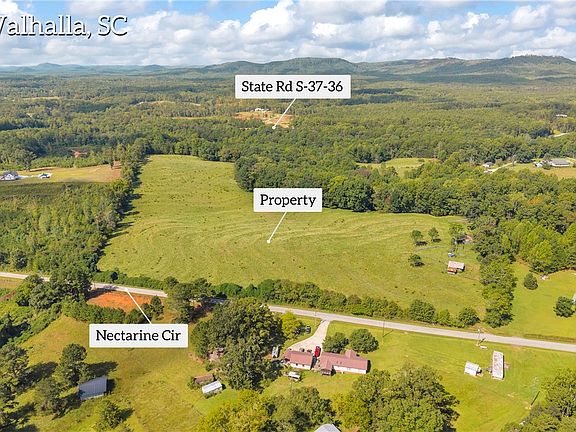 4th image of 104 Nectarine Cir