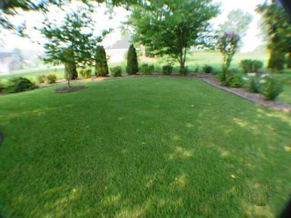 4th image of 3927 Plantation Dr