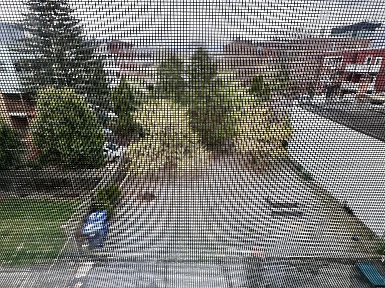 417 Cardinal Medeiros Ave #3 — Photo 13