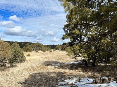 Phase #4-LOT 5, Pie Town, NM, 87827