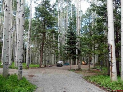 602 Columbine Drive, Cimarron, CO, 81220