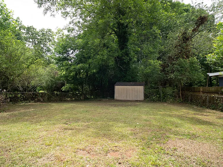 Backyard (completely fenced in)