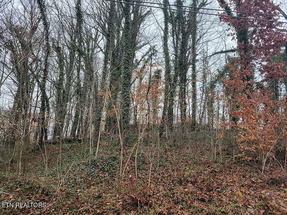 2nd image of Garden Ave