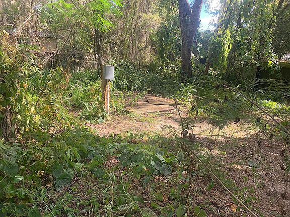 2nd image of 202 Campbell Ln
