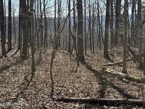 4th image of 0 Cumberland Cove Rd #8