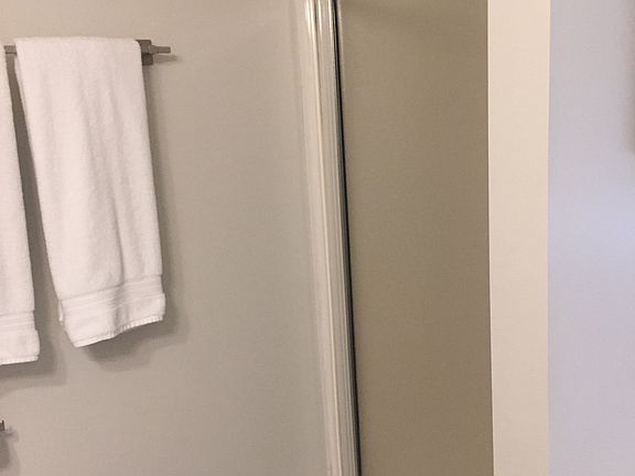 Master Walk-in Shower