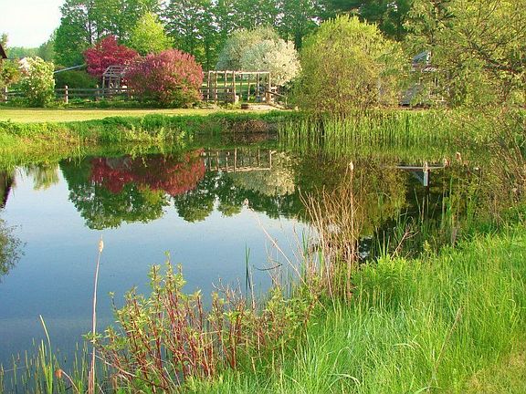 Scenic Pond on the Way up to the House