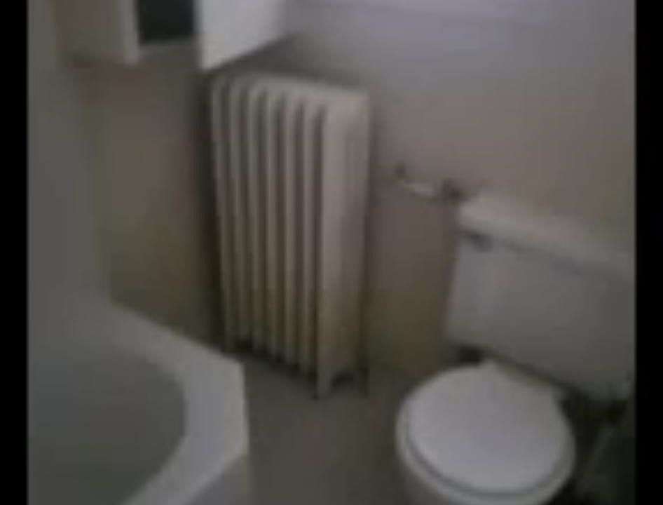 2nd image of 308 Brodhead Ave #3