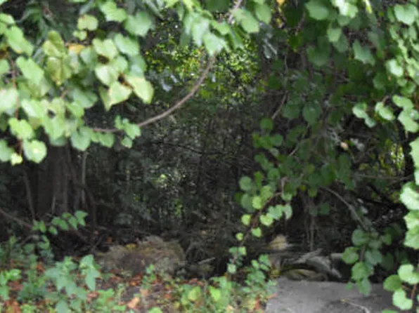 0 Irick St, Eutawville, SC 29048