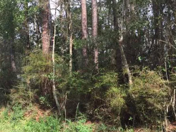 Rockvale Dr Lot 30, Gautier, MS 39553