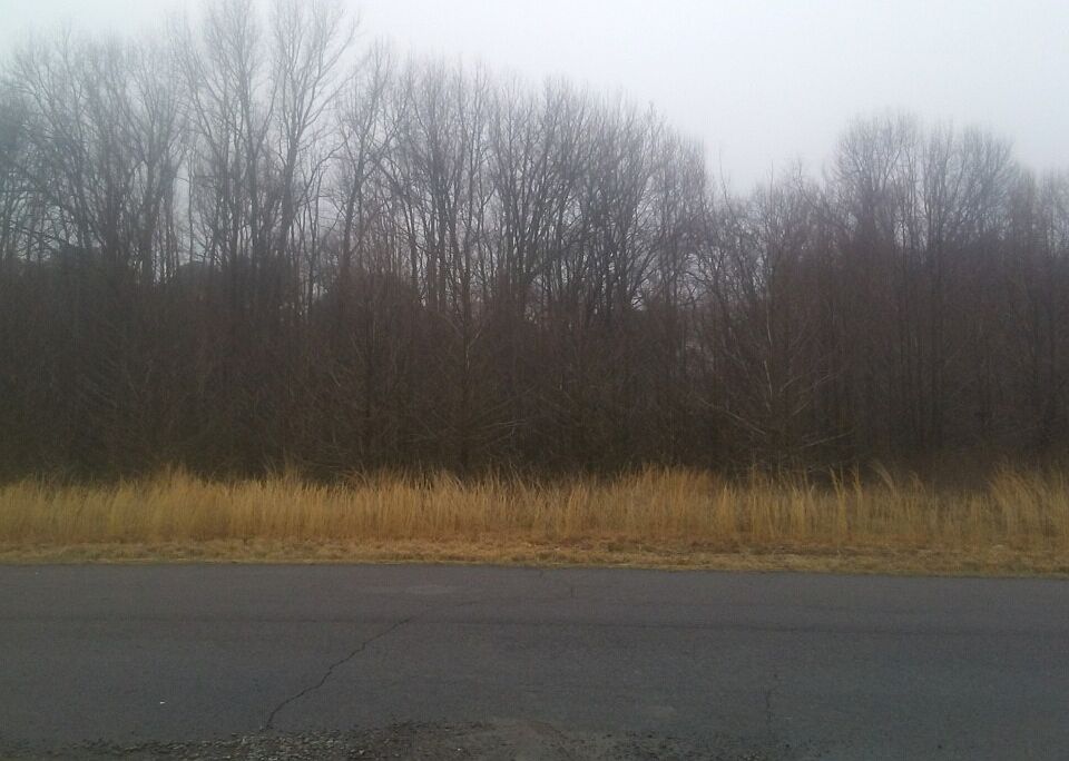 1st image of 316 Stonegate Dr