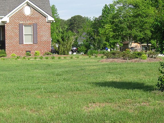 Large lot.