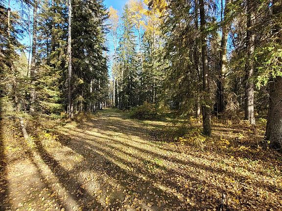 2nd image of 463075 Range Road 64