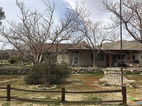 winter photo of trees