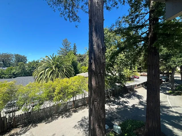 Sir Francis Drake Blvd — Photo 17