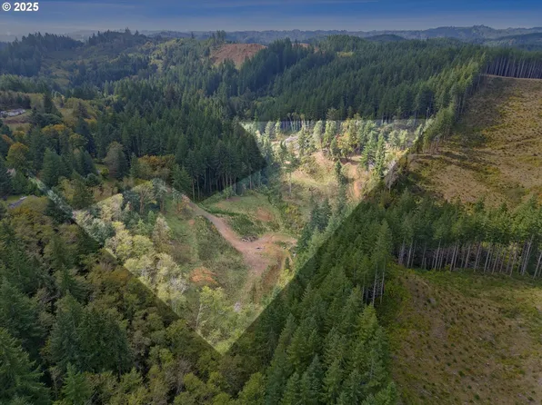 0 Pioneer Mountain Loop, Toledo, OR 97391