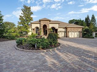 11471 Trotting Down Dr, Odessa, FL 33556