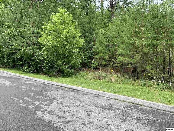 4th image of 67 Smoky Cove Rd Lot 67