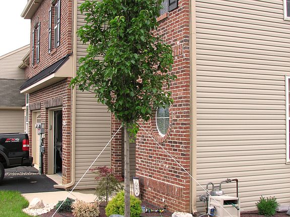 2nd image of 315 Blue Sage Dr