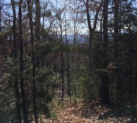4th image of 128 Bluff Mountain Rd Lot 128