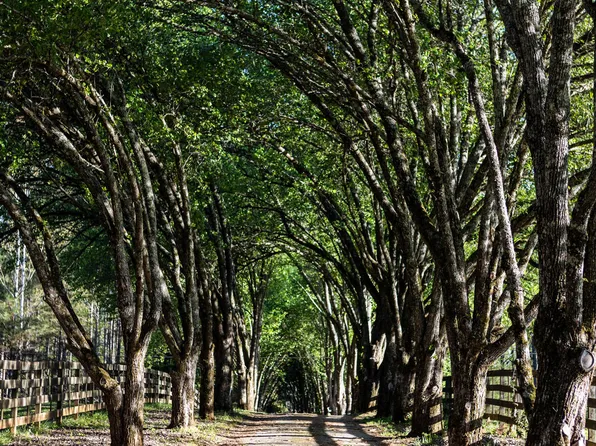 143 Swanson Rd, Fayetteville, GA 30214