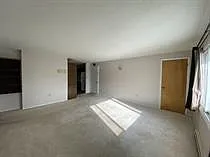917 Alder St — Photo 3