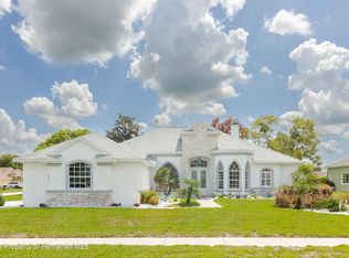 13382 Sagewater Ct, Spring Hill, FL 34609
