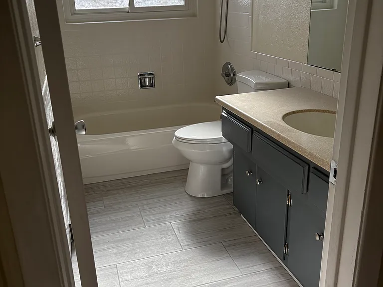 Main floor Guest bathroom
