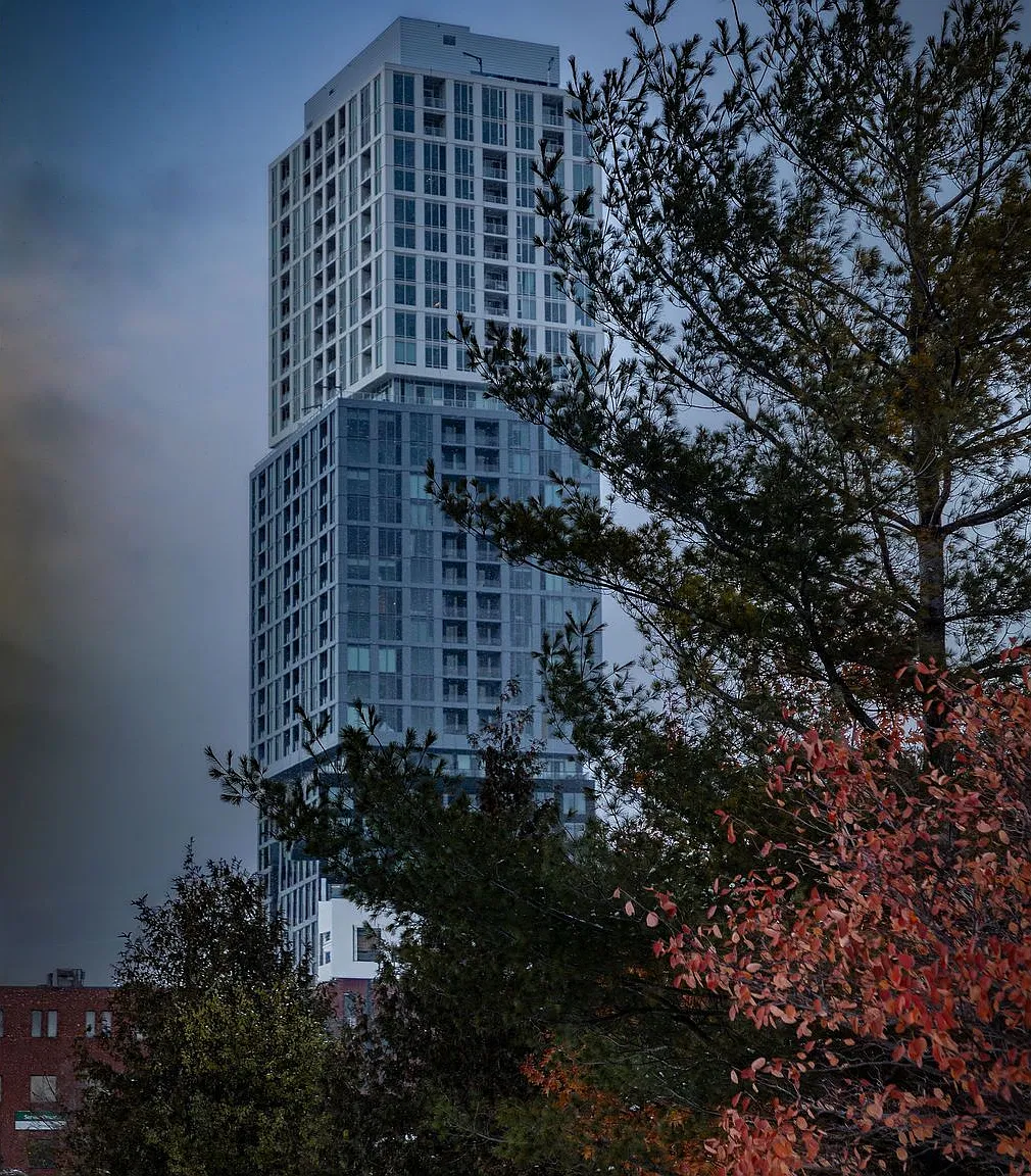 1 bed, $1,950 — Photo 2