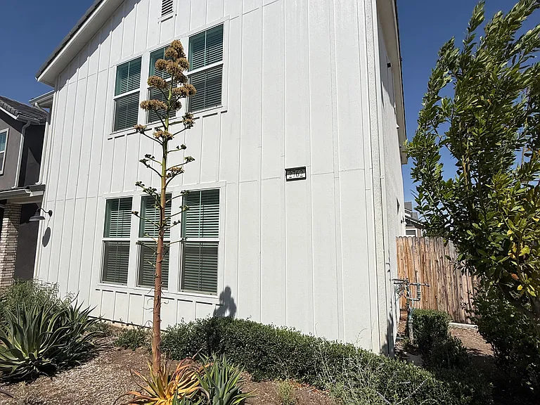 2762 E Tamarind Dr — Photo 1