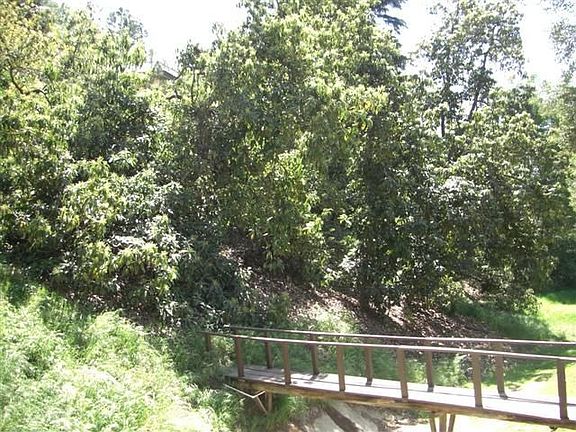 QUAINT BRIDGE TO GROVE