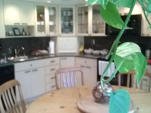 3rd image of 5340 Las Verdes Cir APT 106