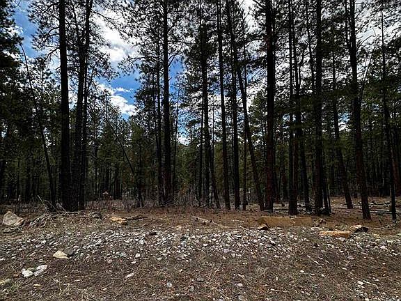 5th image of 99 Pine Cone Circle