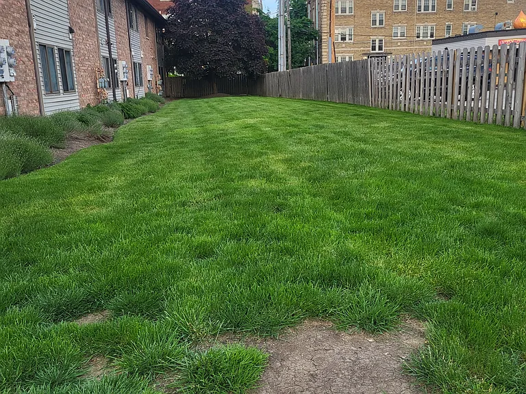 Lake Ave — Photo 16