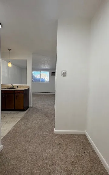 330 Shirley St #15 — Photo 8