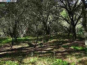 2nd image of 0 Hidden Oaks Dr
