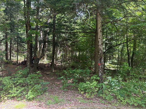 4th image of 0 Axe Lake Rd