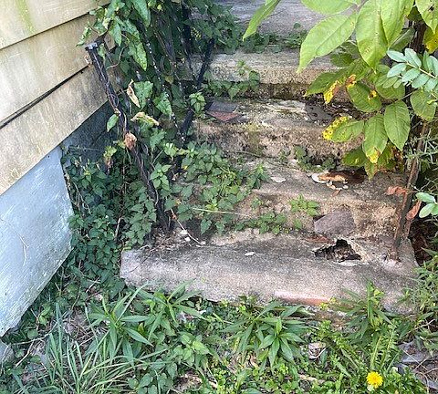 5th image of 523 Delaware Ave