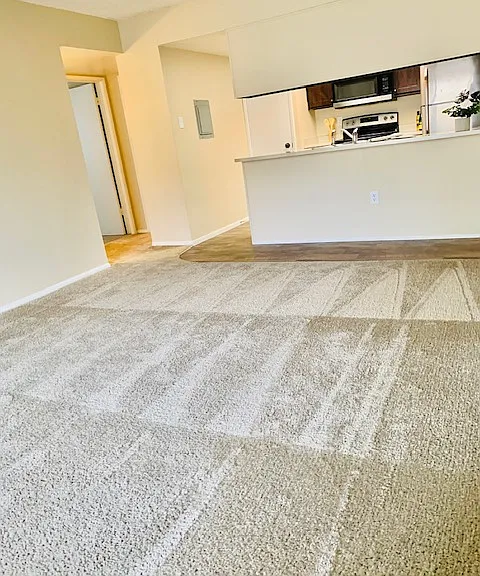 Desert Springs Apartments — Photo 25