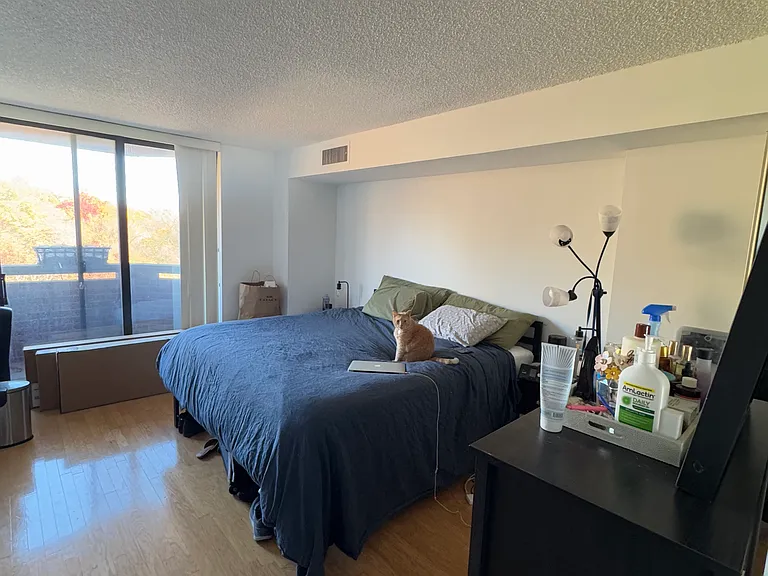 To the left of the laundry unit, is the door to the primary bedroom. Very spacious. Walk-in closet. Entrance to balcony.