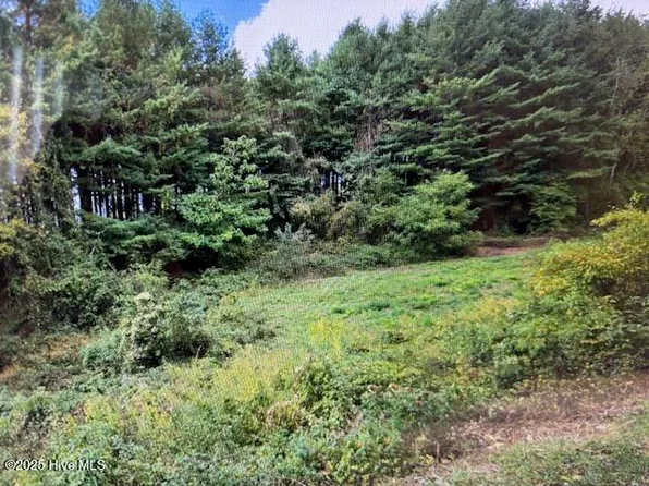 512 Lonesome Oak Drive, Ennice, NC 28623