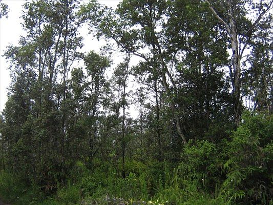 3rd image of Road 11 Pulelehua Lot 5996