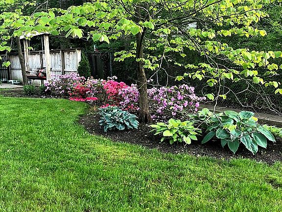 Front yard landscape