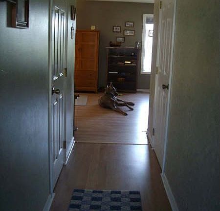 Front Hall / Family Room